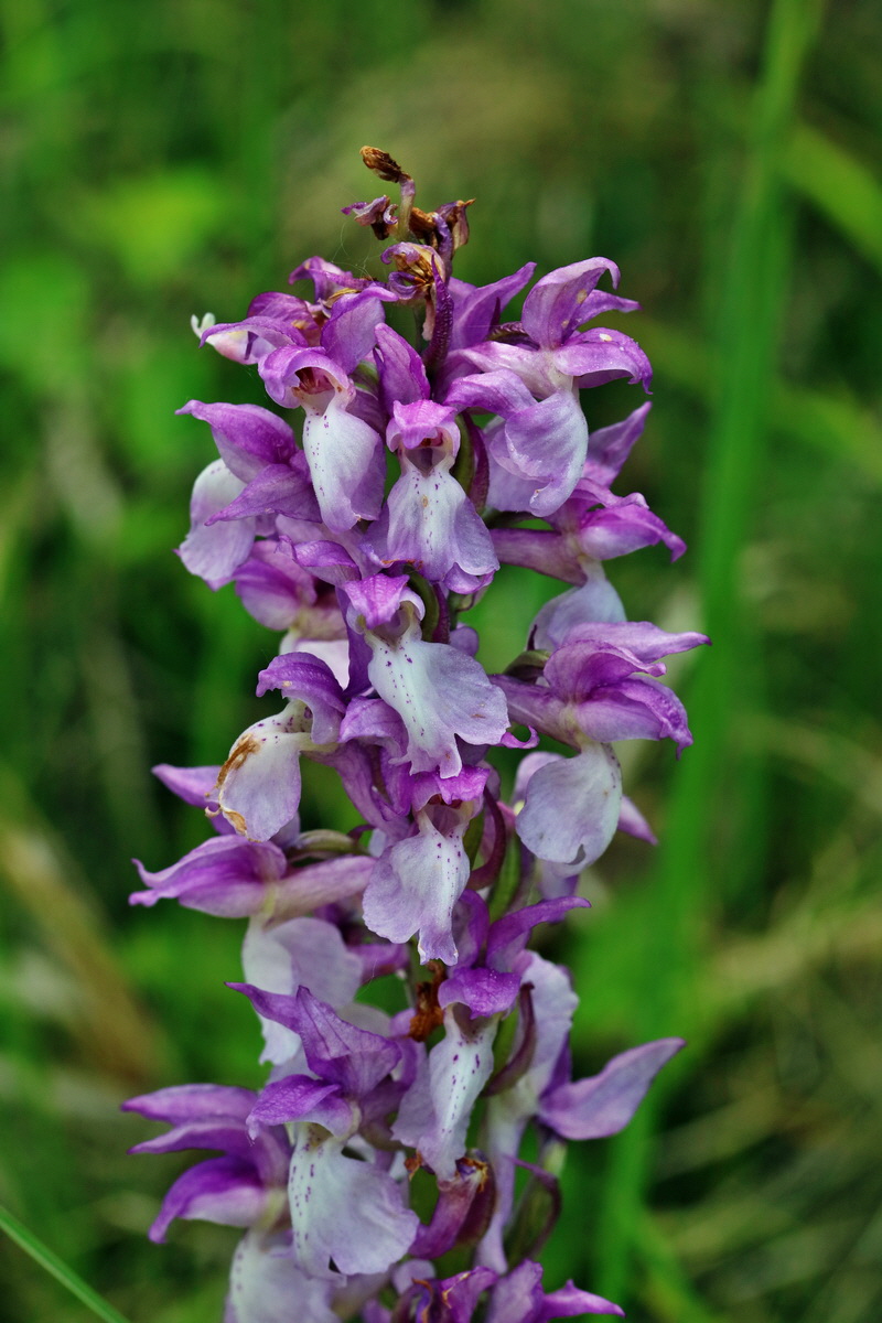 RNA_2017_05_18_5304p_Bildgr��e �ndern