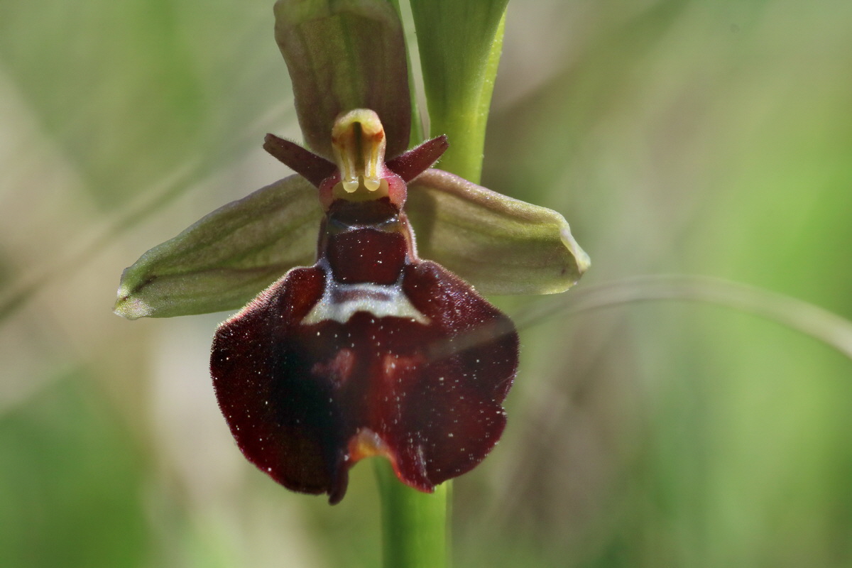 RNA_2017_05_18_5341p_Bildgr��e �ndern