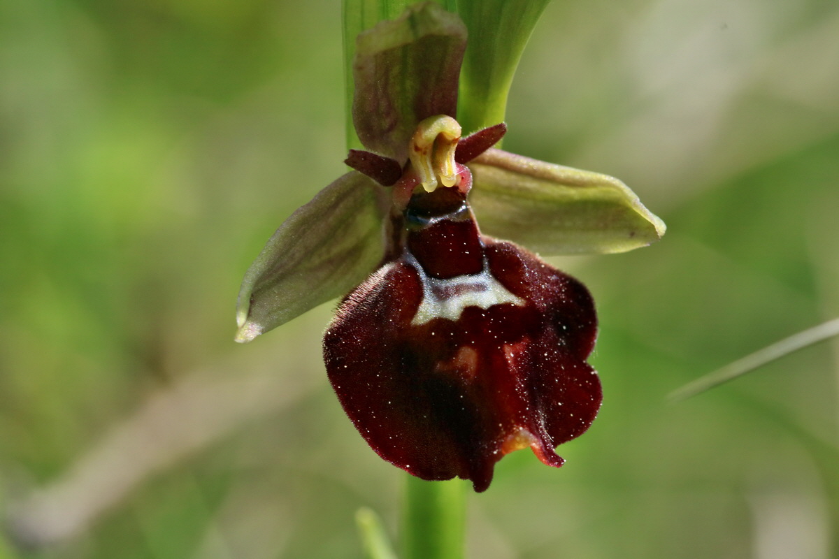 RNA_2017_05_18_5347p_Bildgr��e �ndern