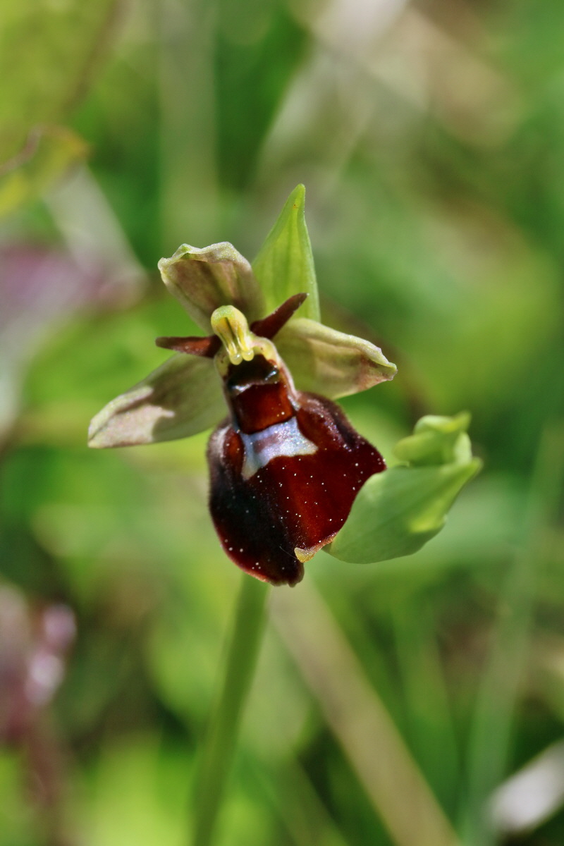 RNA_2017_05_18_5356p_Bildgr��e �ndern