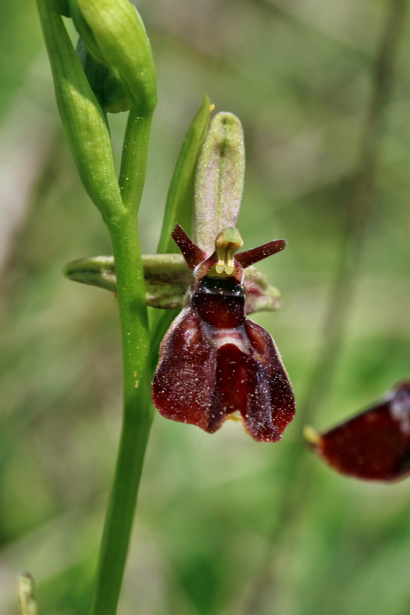 RNA_2017_05_18_5362p_Bildgr��e �ndern