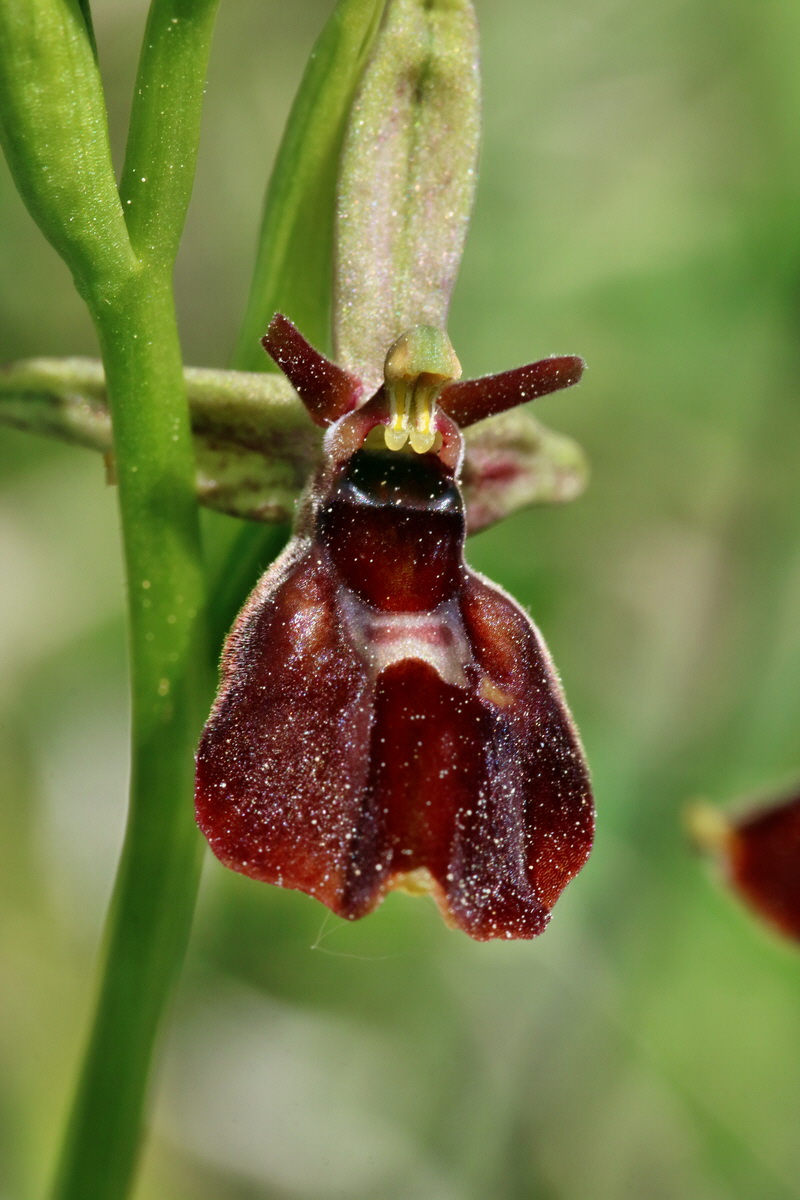 RNA_2017_05_18_5368p_Bildgr��e �ndern