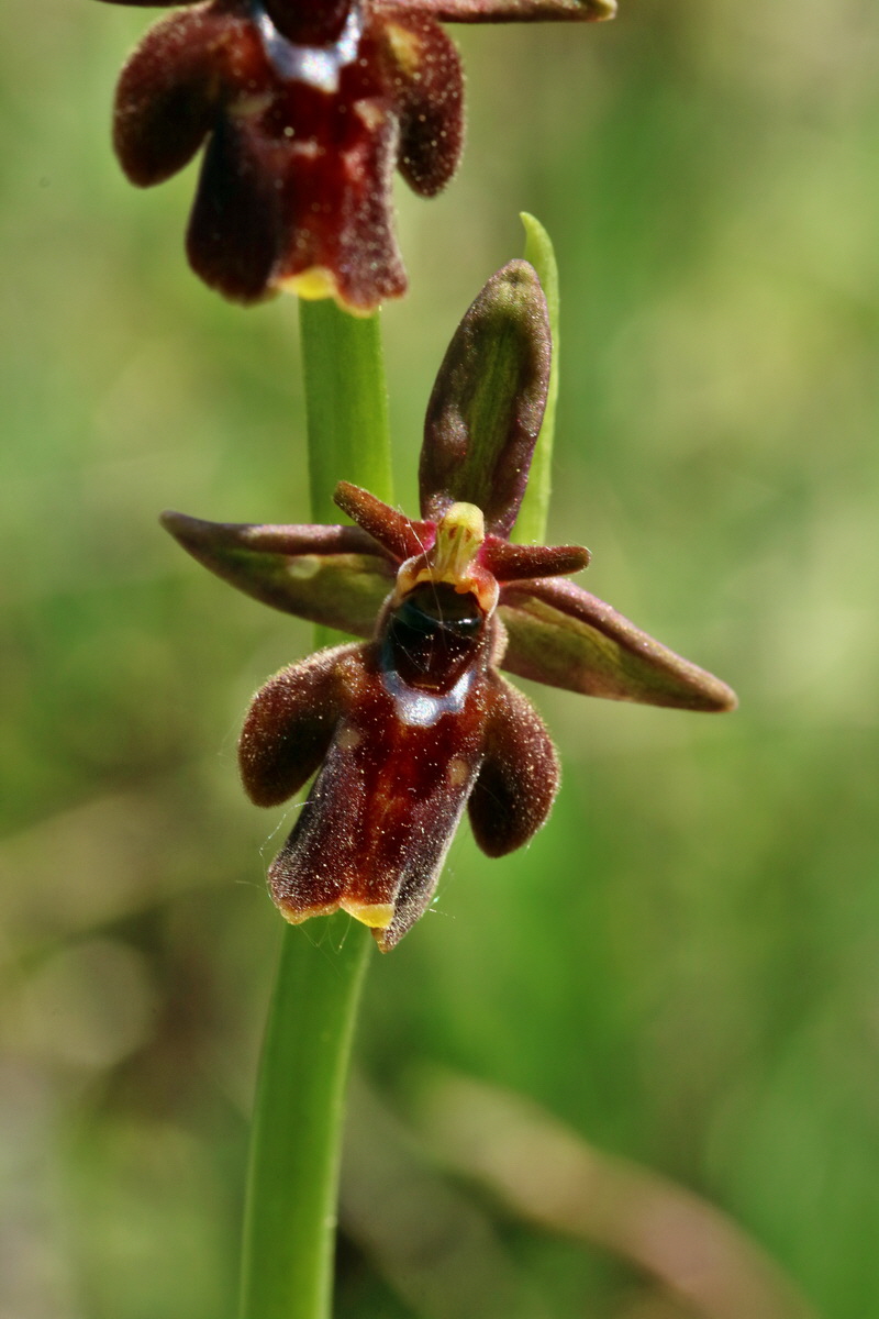 RNA_2017_05_18_5378p_Bildgr��e �ndern