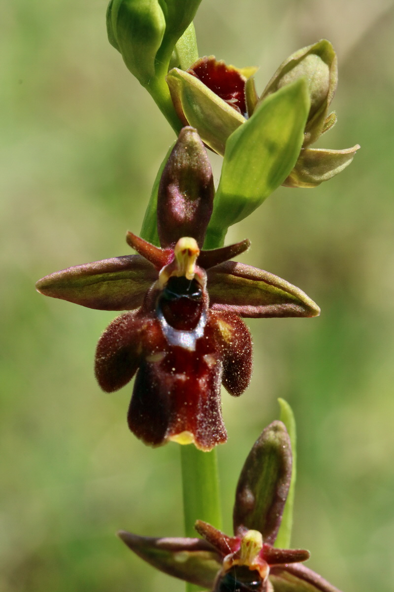 RNA_2017_05_18_5380p_Bildgr��e �ndern