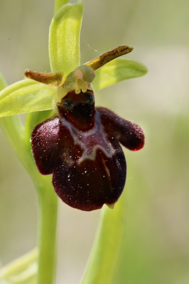 RNA_2017_05_18_5443p_Bildgr��e �ndern