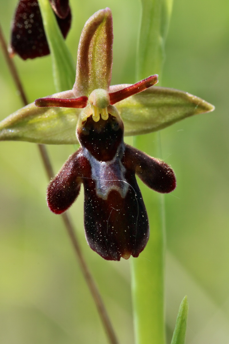 RNA_2017_05_18_5459p_Bildgr��e �ndern