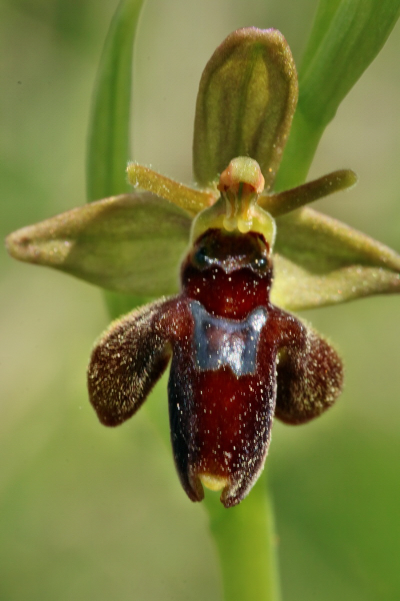 RNA_2017_05_18_5467p_Bildgr��e �ndern