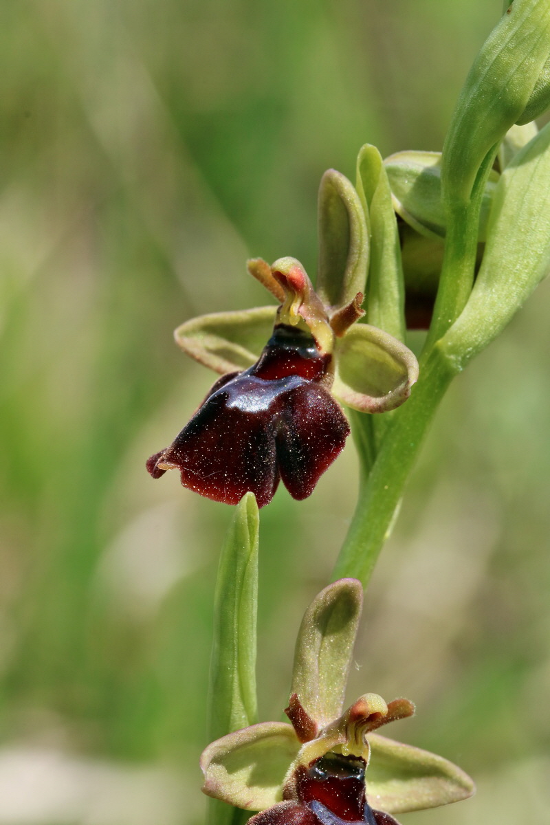 RNA_2017_05_18_5482p_Bildgr��e �ndern