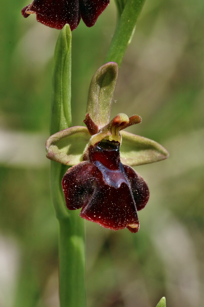 RNA_2017_05_18_5485p_Bildgr��e �ndern