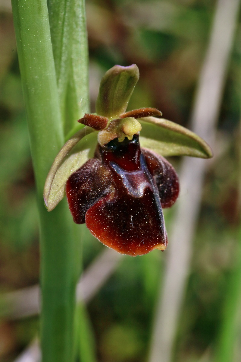 RNA_2017_05_18_5488p_Bildgr��e �ndern