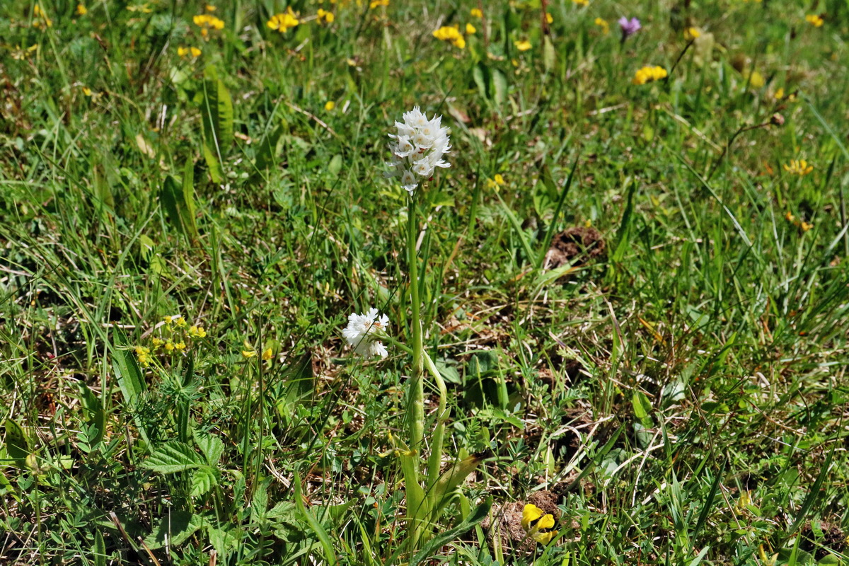 RNA_2017_05_20_5736p_Bildgr��e �ndern