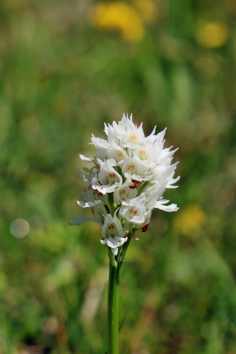 RNA_2017_05_20_5740p_Bildgr��e �ndern