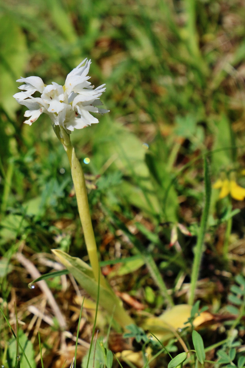 RNA_2017_05_20_5743p_Bildgr��e �ndern