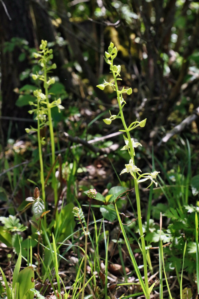 RNA_2017_05_20_5757p_Bildgr��e �ndern