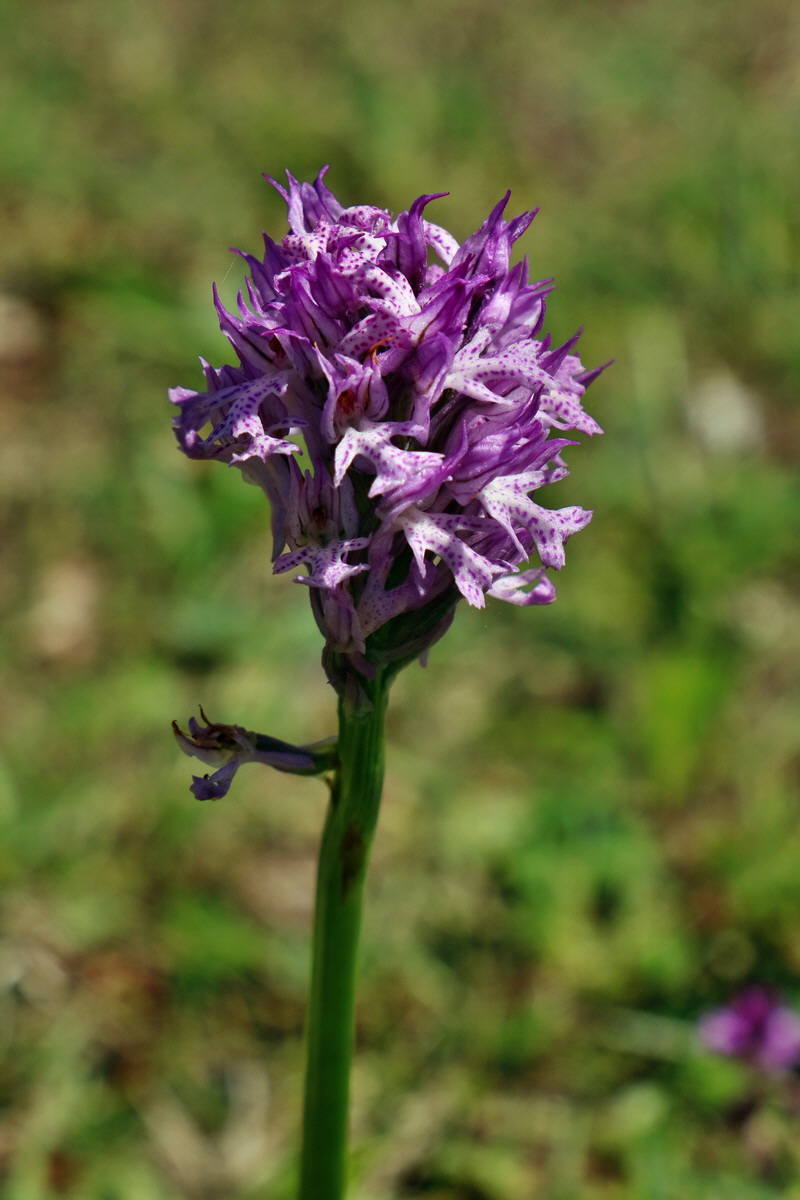 RNA_2017_05_20_5779p_Bildgr��e �ndern