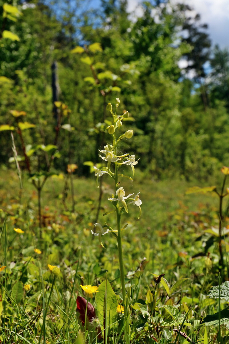 RNA_2017_05_20_5795p_Bildgr��e �ndern