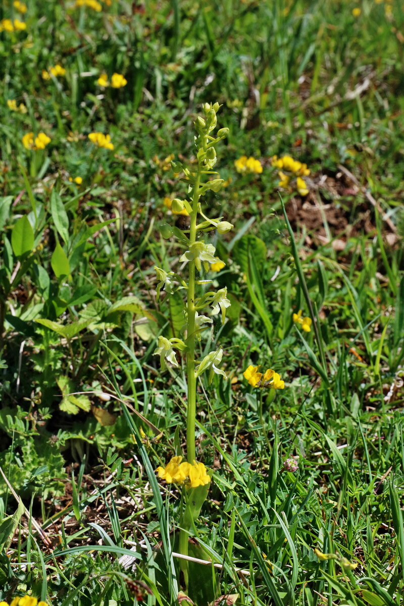 RNA_2017_05_20_5805p_Bildgr��e �ndern