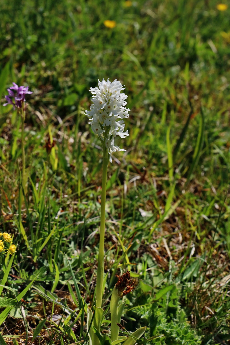 RNA_2017_05_20_5821p_Bildgr��e �ndern