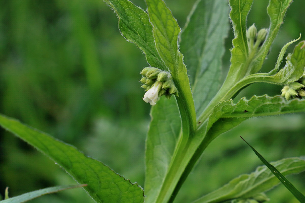 RNA_2017_05_20_5844p_Bildgr��e �ndern