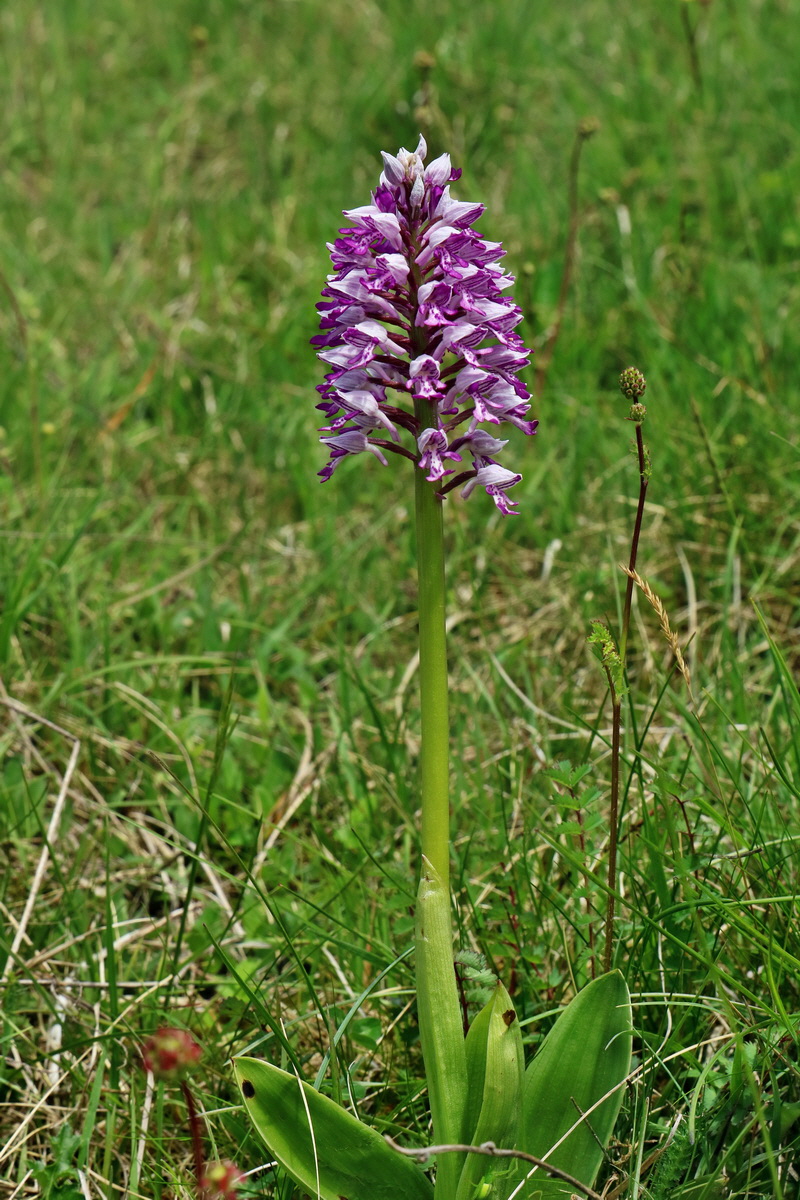 RNA_2017_05_20_5854p_Bildgr��e �ndern