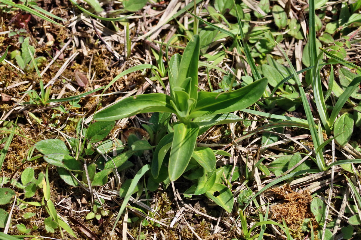 RNA_2017_05_20_5878p_Bildgr��e �ndern