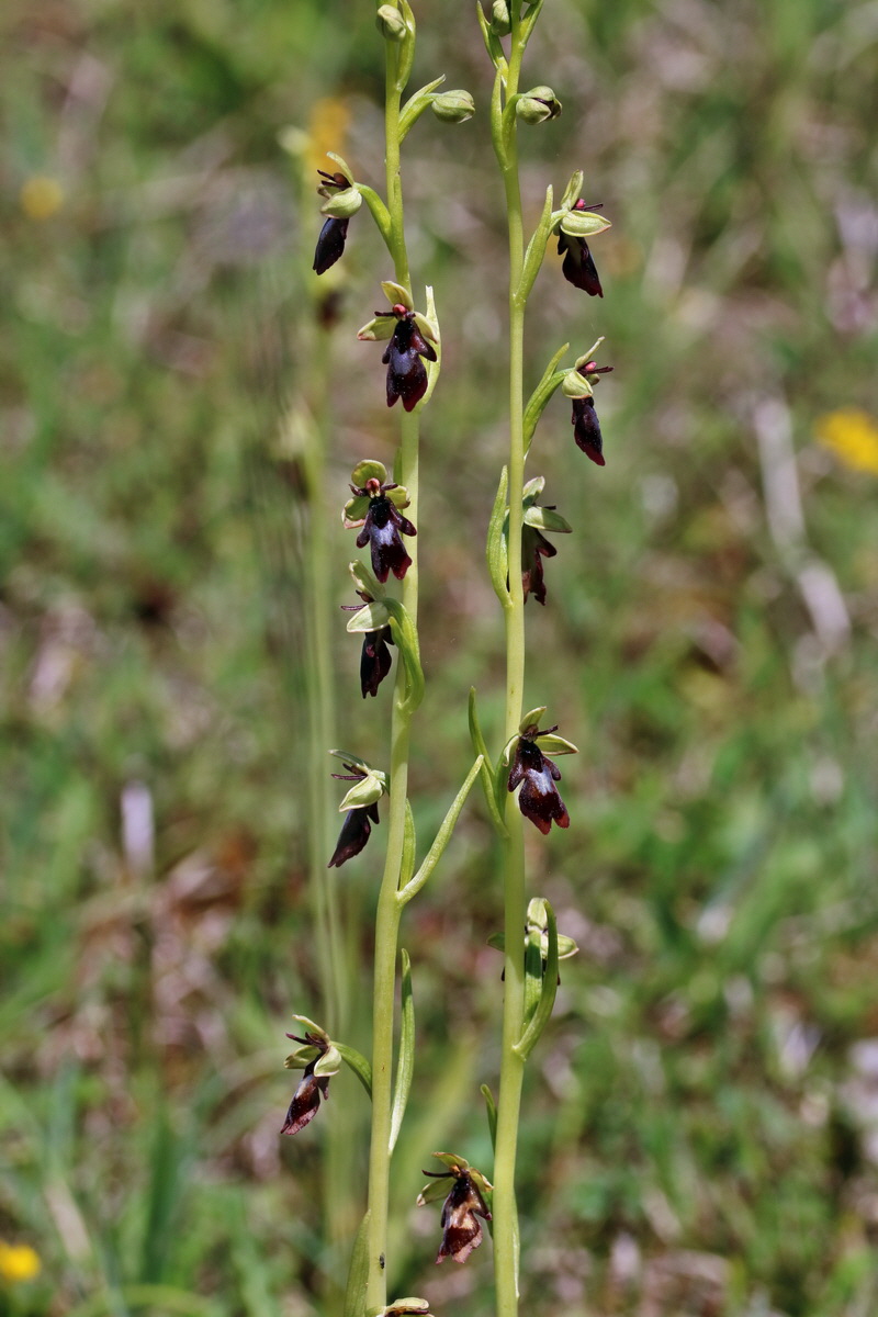 RNA_2017_05_20_5899p_Bildgr��e �ndern