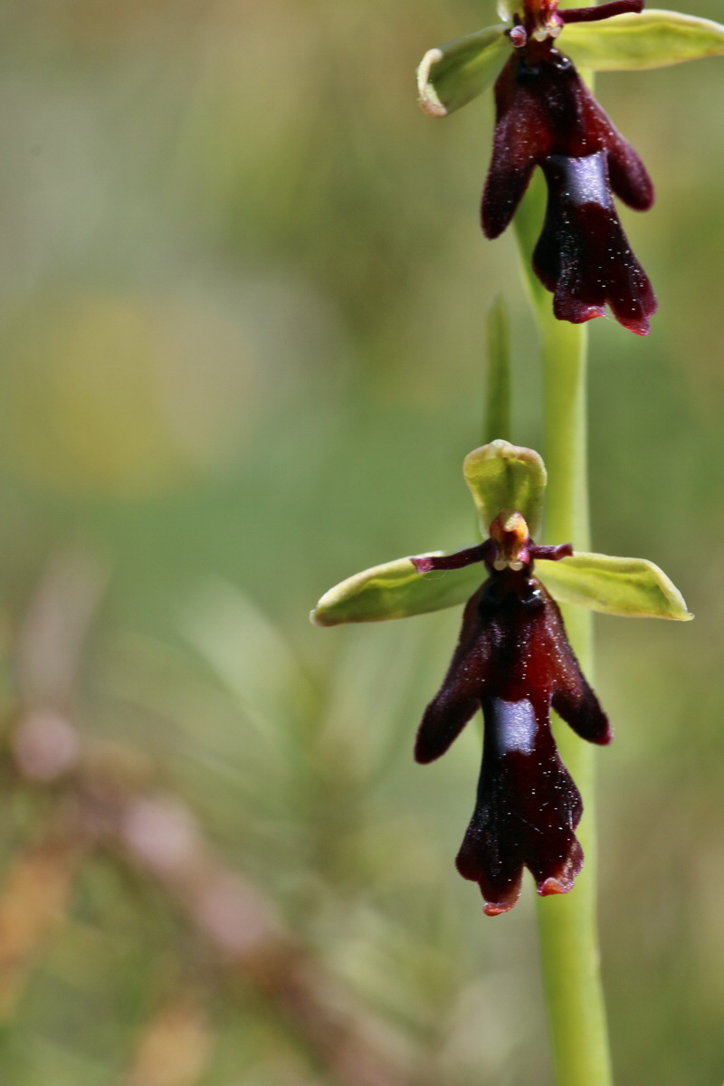 RNA_2017_05_20_5927p_Bildgr��e �ndern