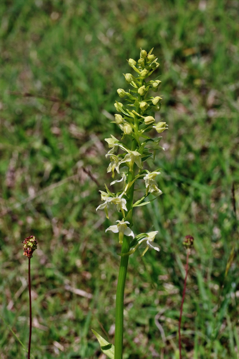 RNA_2017_05_20_5964p_Bildgr��e �ndern