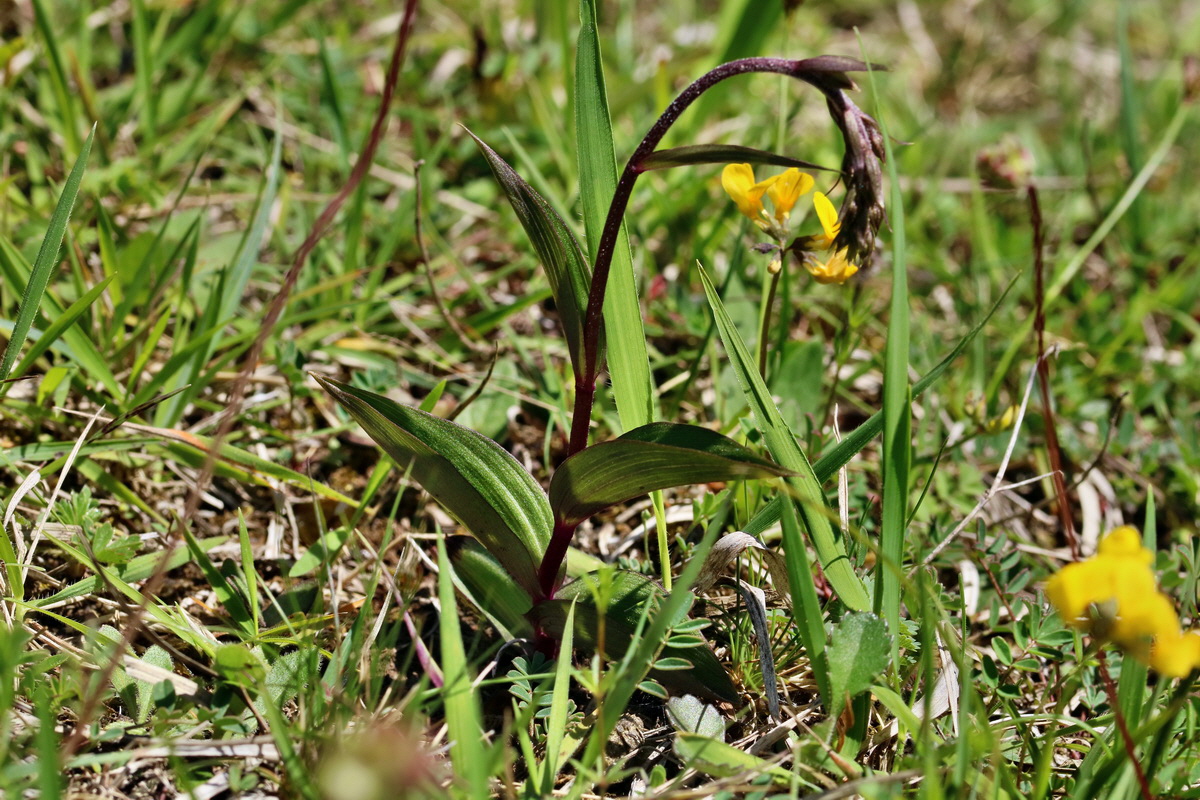 RNA_2017_05_20_6404p_Bildgr��e �ndern