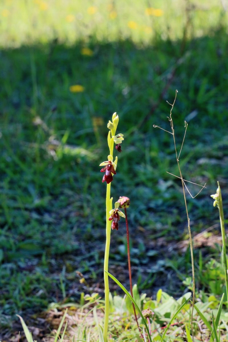 RNA_2017_05_20_6523p_Bildgr��e �ndern