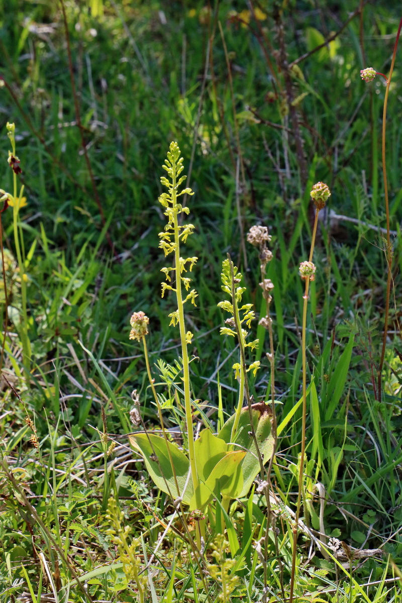 RNA_2017_05_20_6590p_Bildgr��e �ndern