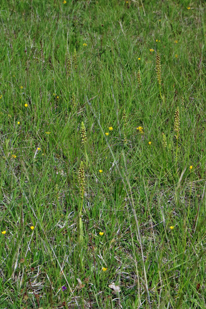 RNA_2017_05_20_6601p_Bildgr��e �ndern