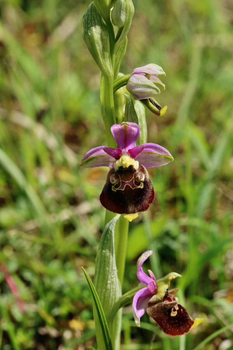 RNA_2017_05_20_6139p_Bildgr��e �ndern