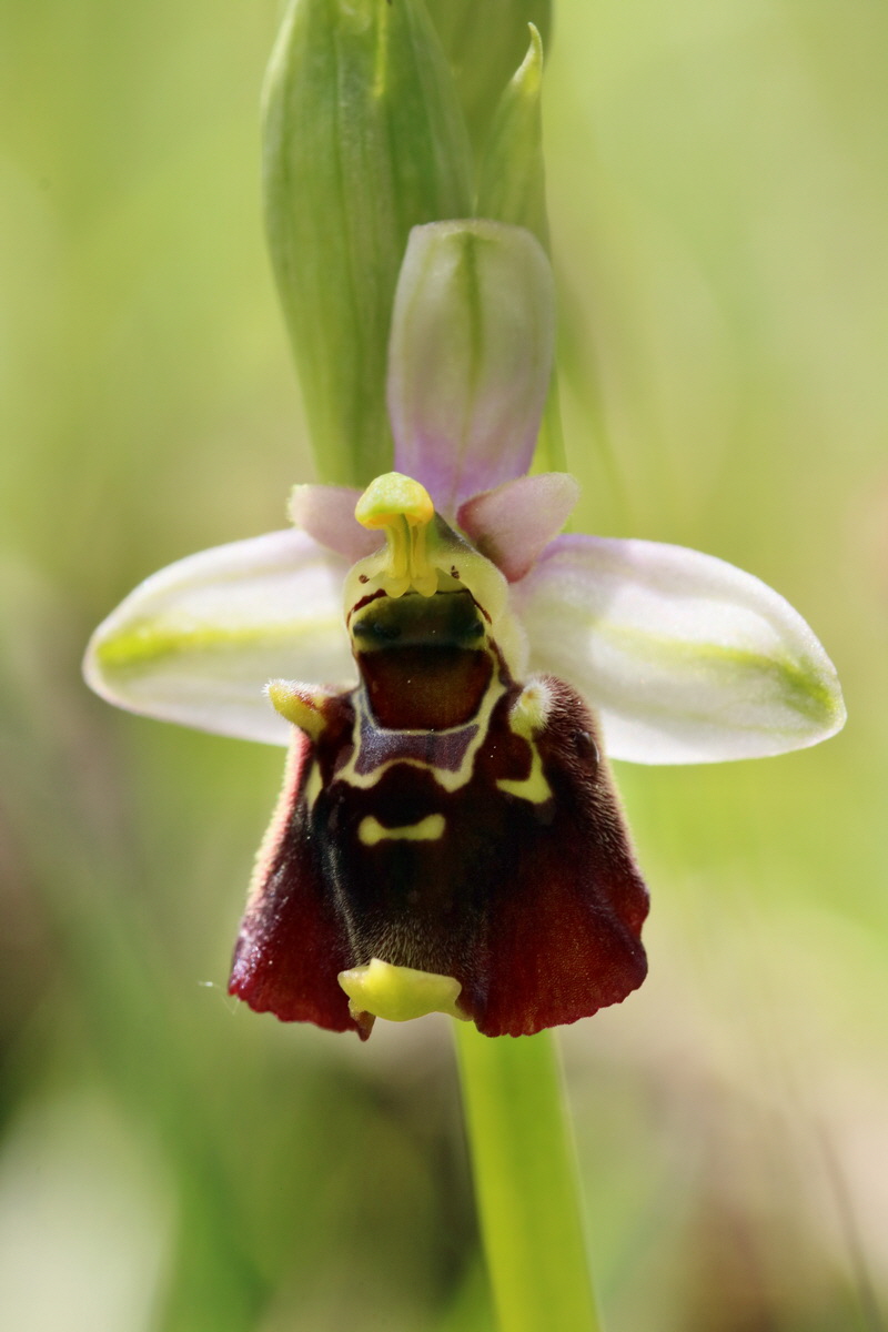 RNA_2017_05_20_6170p_Bildgr��e �ndern