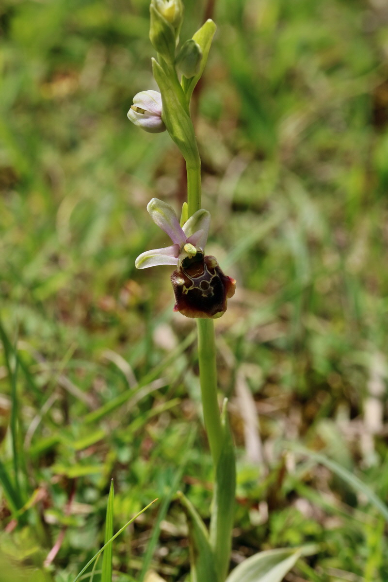 RNA_2017_05_20_6192p_Bildgr��e �ndern