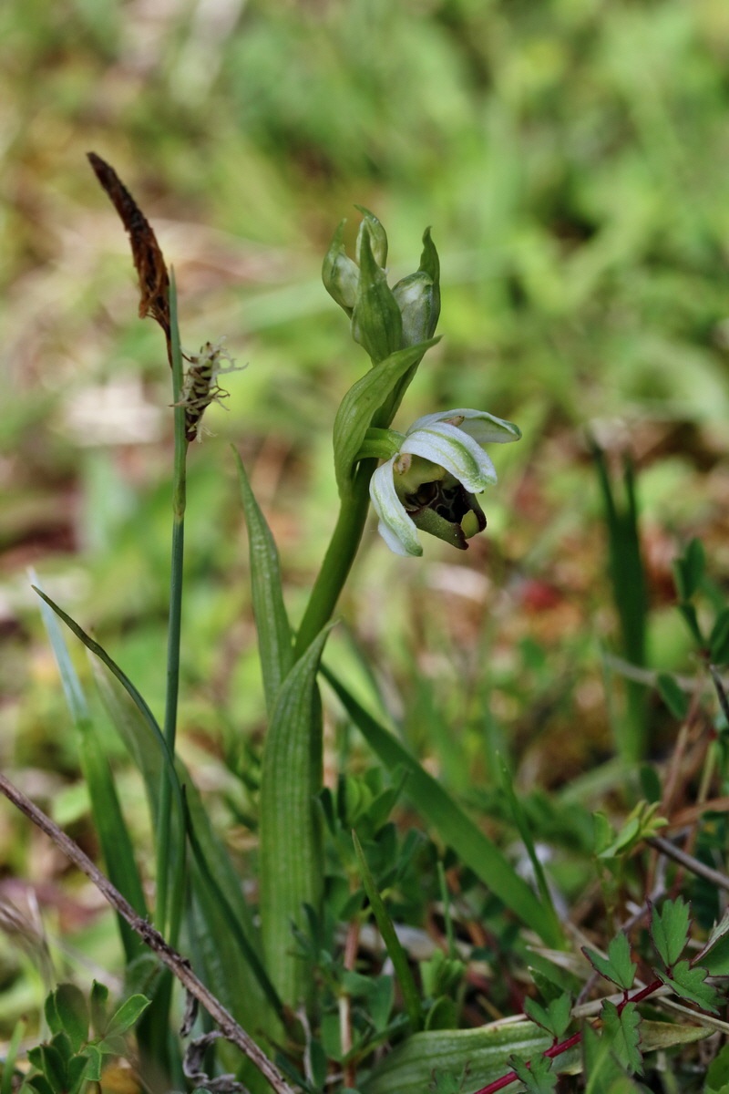 RNA_2017_05_20_6205p_Bildgr��e �ndern