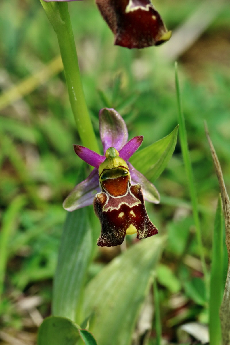 RNA_2017_05_20_6340p_Bildgr��e �ndern