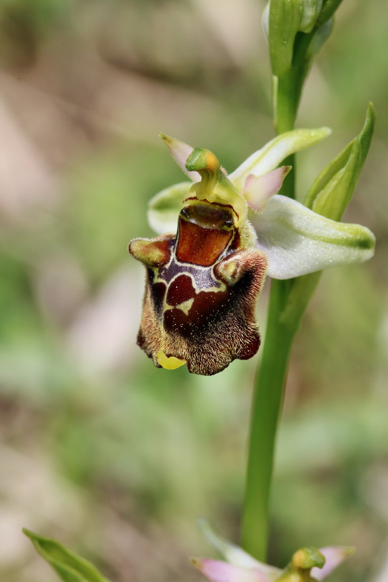 RNA_2017_05_20_6345p_Bildgr��e �ndern