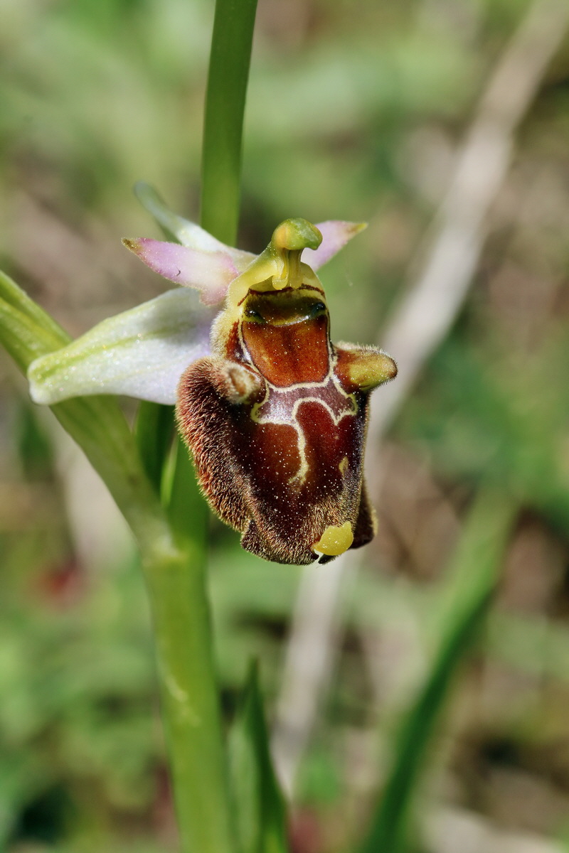 RNA_2017_05_20_6349p_Bildgr��e �ndern