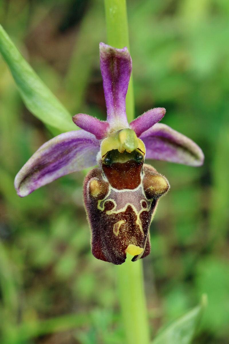 RNA_2017_05_20_6351p_Bildgr��e �ndern