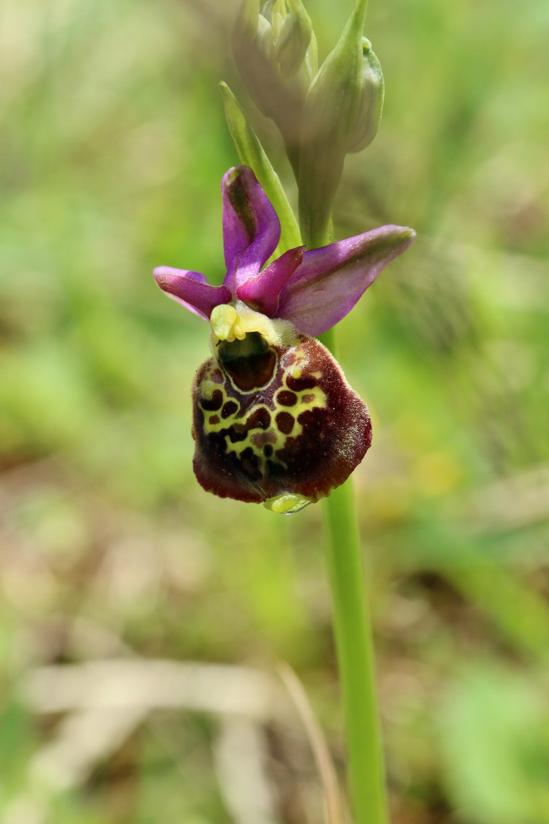 RNA_2017_05_20_6373p_Bildgr��e �ndern