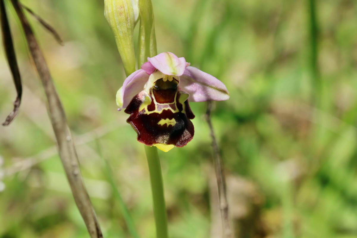 RNA_2017_05_20_6406p_Bildgr��e �ndern