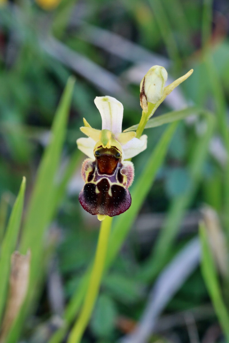 RNA_2017_05_20_6421p_Bildgr��e �ndern