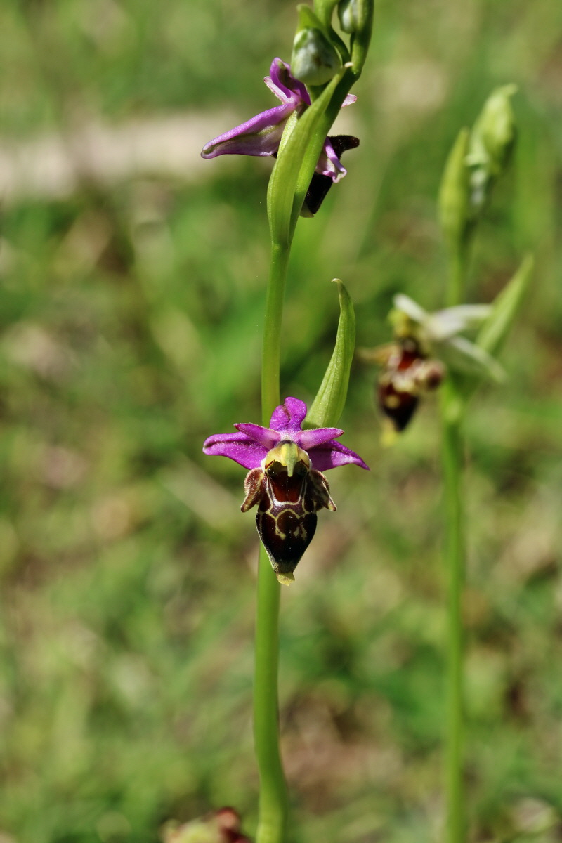 RNA_2017_05_20_6457p_Bildgr��e �ndern