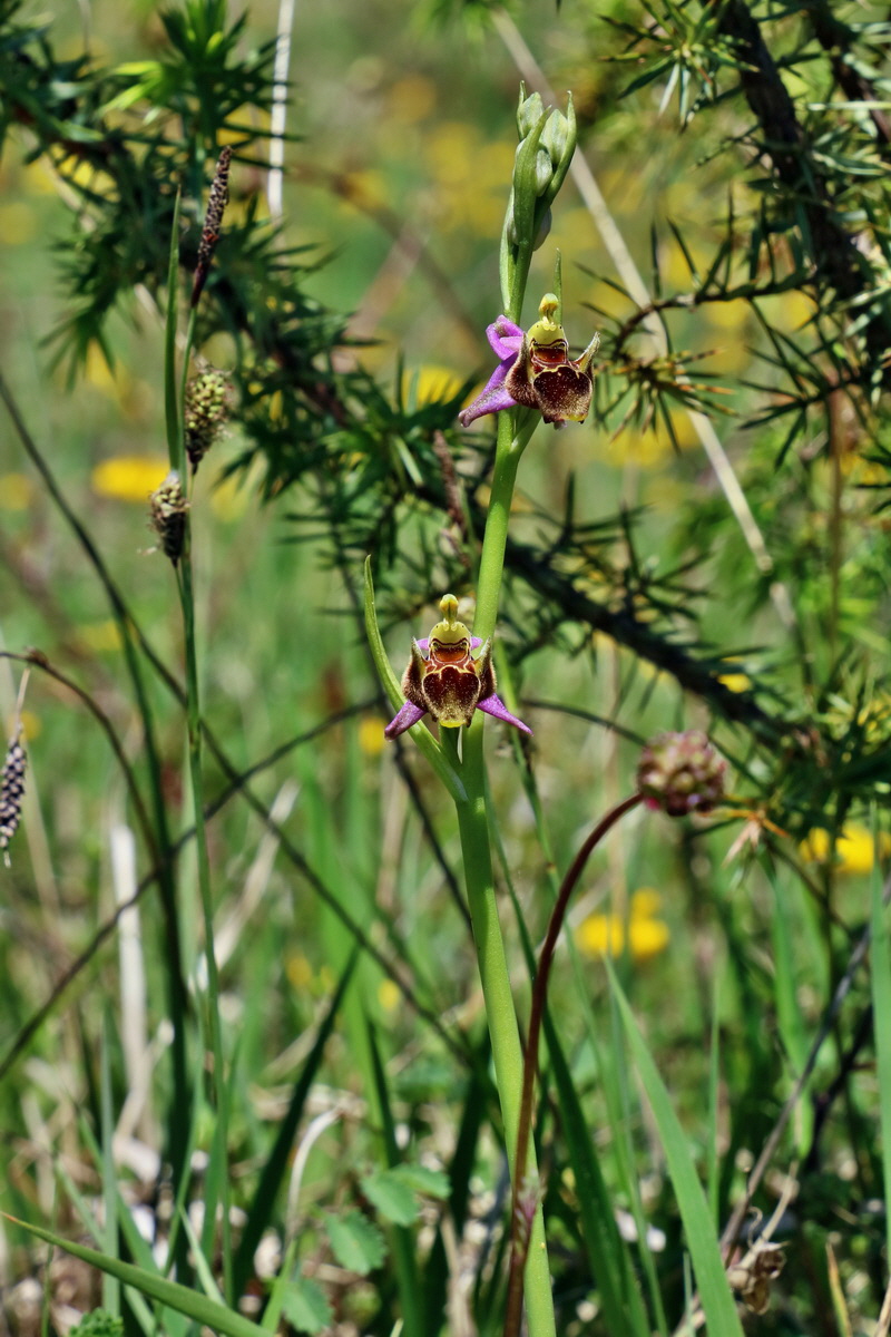 RNA_2017_05_20_6533p_Bildgr��e �ndern