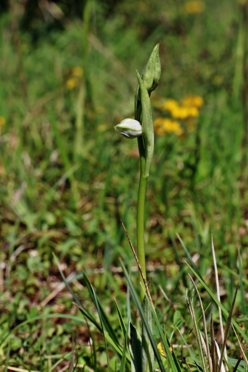 RNA_2017_05_20_6556p_Bildgr��e �ndern