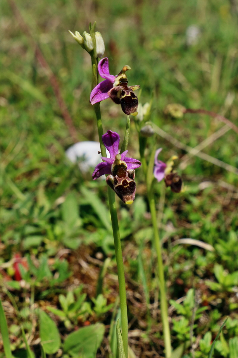 RNA_2017_05_20_6561p_Bildgr��e �ndern