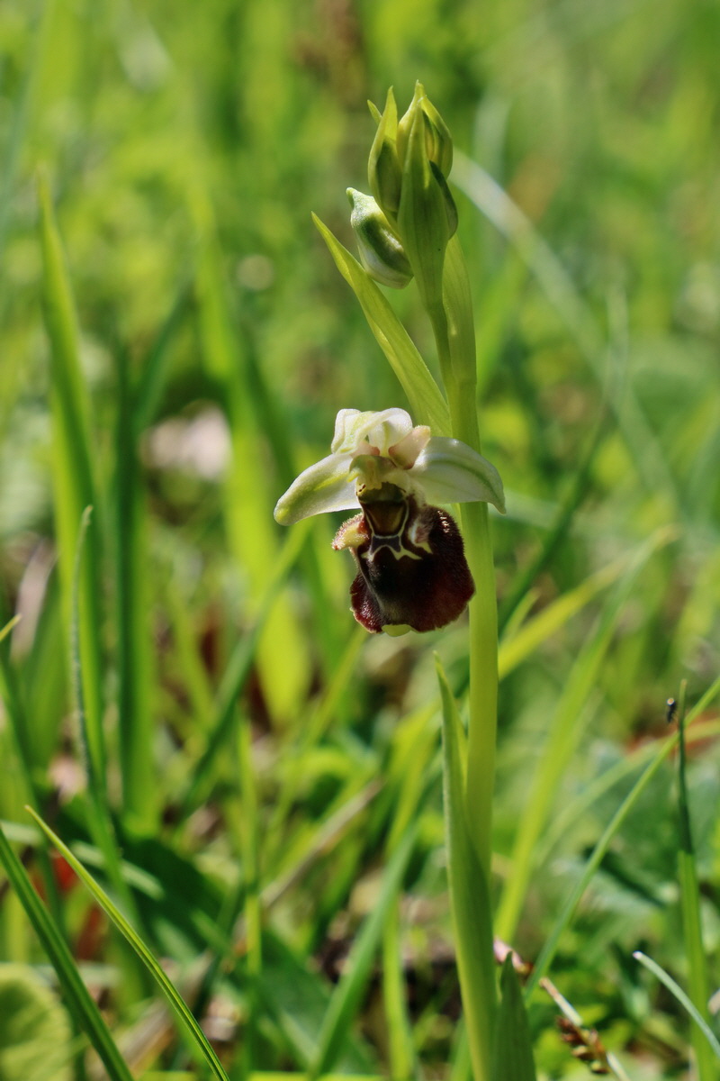 RNA_2017_05_20_6574p_Bildgr��e �ndern