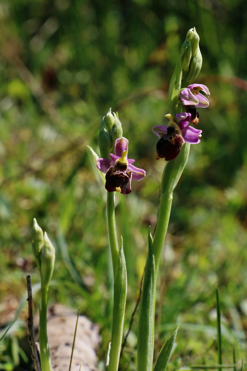 RNA_2017_05_20_6577p_Bildgr��e �ndern