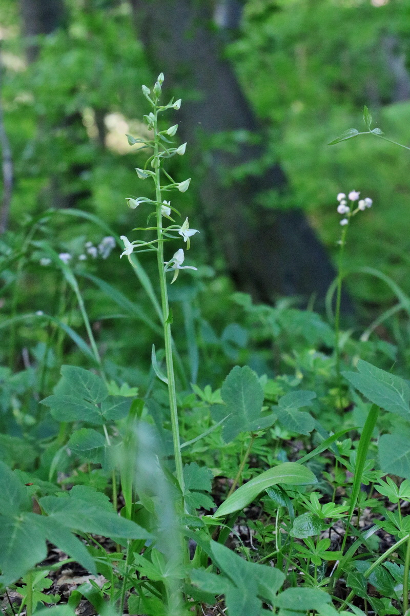 RNA_2017_05_22_6622p_Bildgr��e �ndern